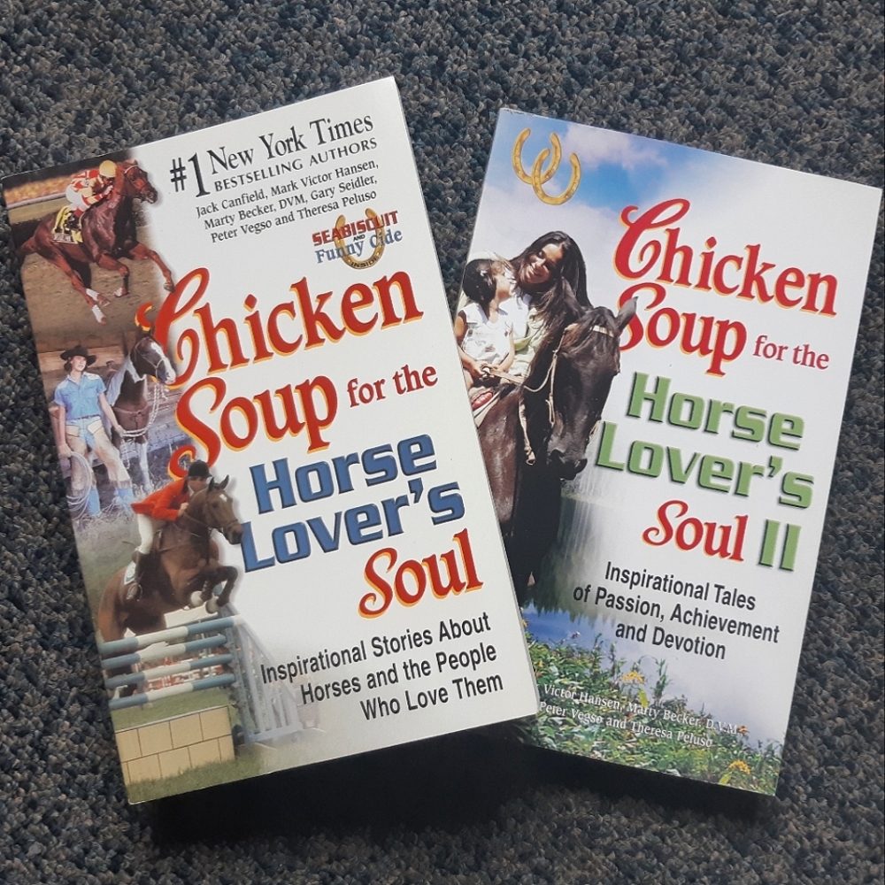 Horse Stories Book Set